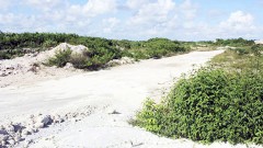 Una vez realizada la inspección preliminar en el inmueble del proyecto Dragon Mart Cancun, no se encontraron vestigios arqueológicos.