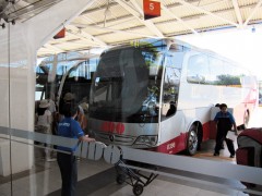 Los Autobuses de Oriente (ADO) en la temporada de verano, esperan tener entre 45 y 50 corridas extras al día, a todas partes de la República.