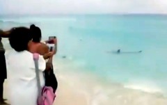 En días anteriores se difundió un video donde se muestra a un tiburón merodeando la orilla de playa Delfines.