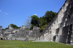 Tikal, un lugar mágico. / foto Alberto Gil
