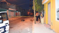 Un testigo dijo que los responsables del asesinato son dos drogadictos que cada noche se ubican en los alrededores del mercado “Chetumalito”, para atracar a las personas.