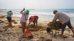 Se utiliza la maquinaria permitida por los lineamientos de la Semarnat, respetando los nidos de tortugas y los recursos naturales de las playas.