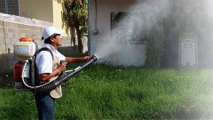 En el arranque de la Segunda Semana Nacional de Lucha contra el Dengue y Chikungunya se informó que el programa incluye pláticas y muestras de los diferentes estadios de los mosquitos “Aedes Aegypti”, mosco transmisor de dengue y chikungunya.