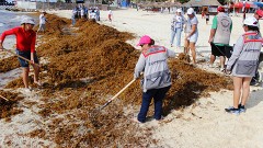 El próximo sábado 19 se llevará a cabo una limpieza masiva de playas a convocatoria de un órgano internacional ecologista en Punta Esmeralda.