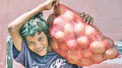 La erradicación del trabajo infantil es un compromiso que busca reducir en una década el número de infantes realizando tareas de adultos.