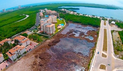 La Profepa afirma que no existen pruebas de un ecocidio en Malecón Tajamar y que el área devastada ya presentaba desde 2005 un proceso de fragmentación y reducción de hábitat.