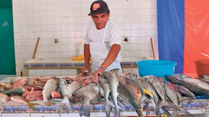 Los restaurantes y lugares que expenden mariscos y pescados deberán extremar sus medidas higiénicas para no ser multados por la Cofepris.