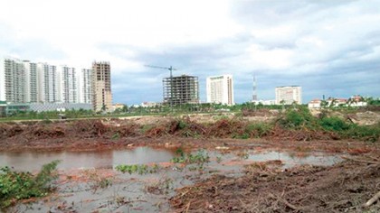 El pasado 16 de enero más de 98 hectáreas de un predio del Malecón Tajamar fueron devastadas por obras de desmonte.
