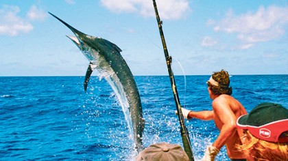 La pesca deportiva en Cancún ya se posicionó como una de las más importantes del país, junto con Los Cabos y Puerto Vallarta.