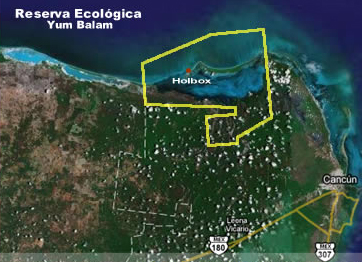 Área Natural Protegida de Yum Balam en la Isla de Holbox.