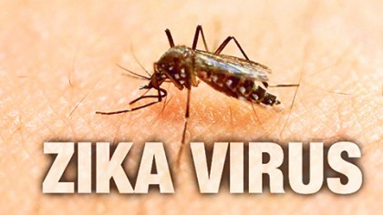 Es un hecho incontrovertible que el virus del zika se propaga con rapidez por los países del Caribe