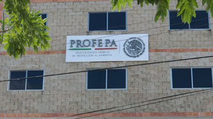 El próximo año, la Profepa abrirá una oficina regional en Bacalar, con el fin de fortalecer su presencia en Quintana Roo.