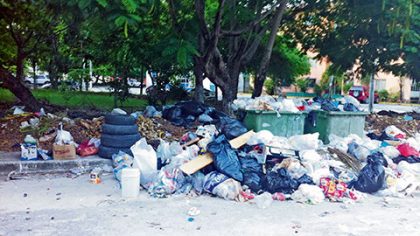 Los parques y áreas verdes en las regiones populares sirven de basureros ante la deficiente recolección de basura.