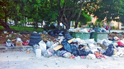 En foco de contaminación se convirtieron los puntos de recepción de la basura en la ciudad, en particular en regiones populares.
