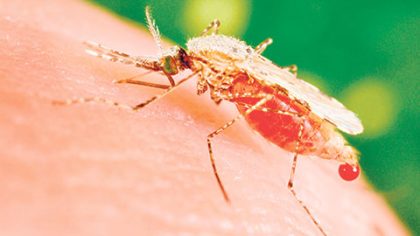 A fin de cerrar el paso al mosquito Aedes Aegypti arrancó la campaña de descacharrización y entorno saludable en zonas catalogadas de “alto riesgo”.