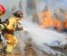 Incendio forestal consume 300 hectáreas en Mahahual
