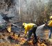 Ya suman 83 hectáreas afectadas por incendios forestales en Quintana Roo