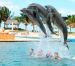 Niños y niñas conviven con expertos en delfines