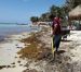 Residentes alertan sobre erosión de playa en Xcalak, en Chetumal
