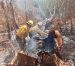 Controlan incendio forestal en el municipio de Lázaro Cárdenas