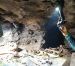 Encuentran cueva con depósitos mortuorios en recinto de Tulum