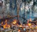 Prevén una temporada crítica de incendios forestales en Quintana Roo