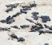 Programa de Protección a Tortugas Marinas de Puerto Morelos