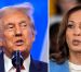 Racismo de Trump motiva el voto latino para Kamala Harris