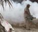 La Sesa alerta sobre aumento del dengue