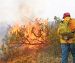 Incendio amenaza reserva ecológica de Calakmul